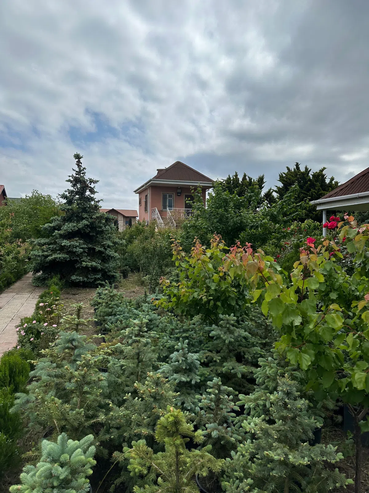 11 sot land plot for sale - Tenderyard