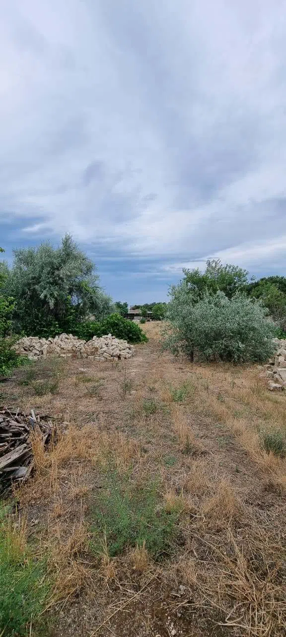24 sot torpaq sahəsi satılır — şəkil 7