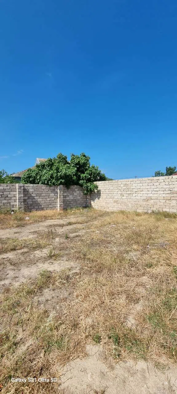7 sot torpaq sahəsi satılır — şəkil 8