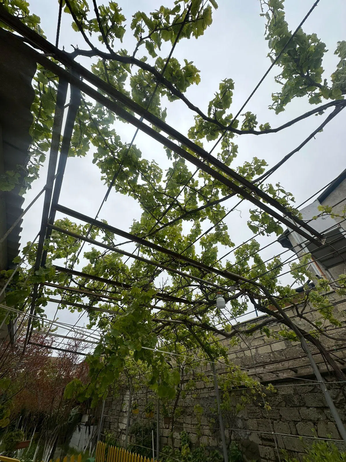 3 otaqlı bağ evi 120 m² 5 sot torpaq sahəsində satılır — şəkil 12