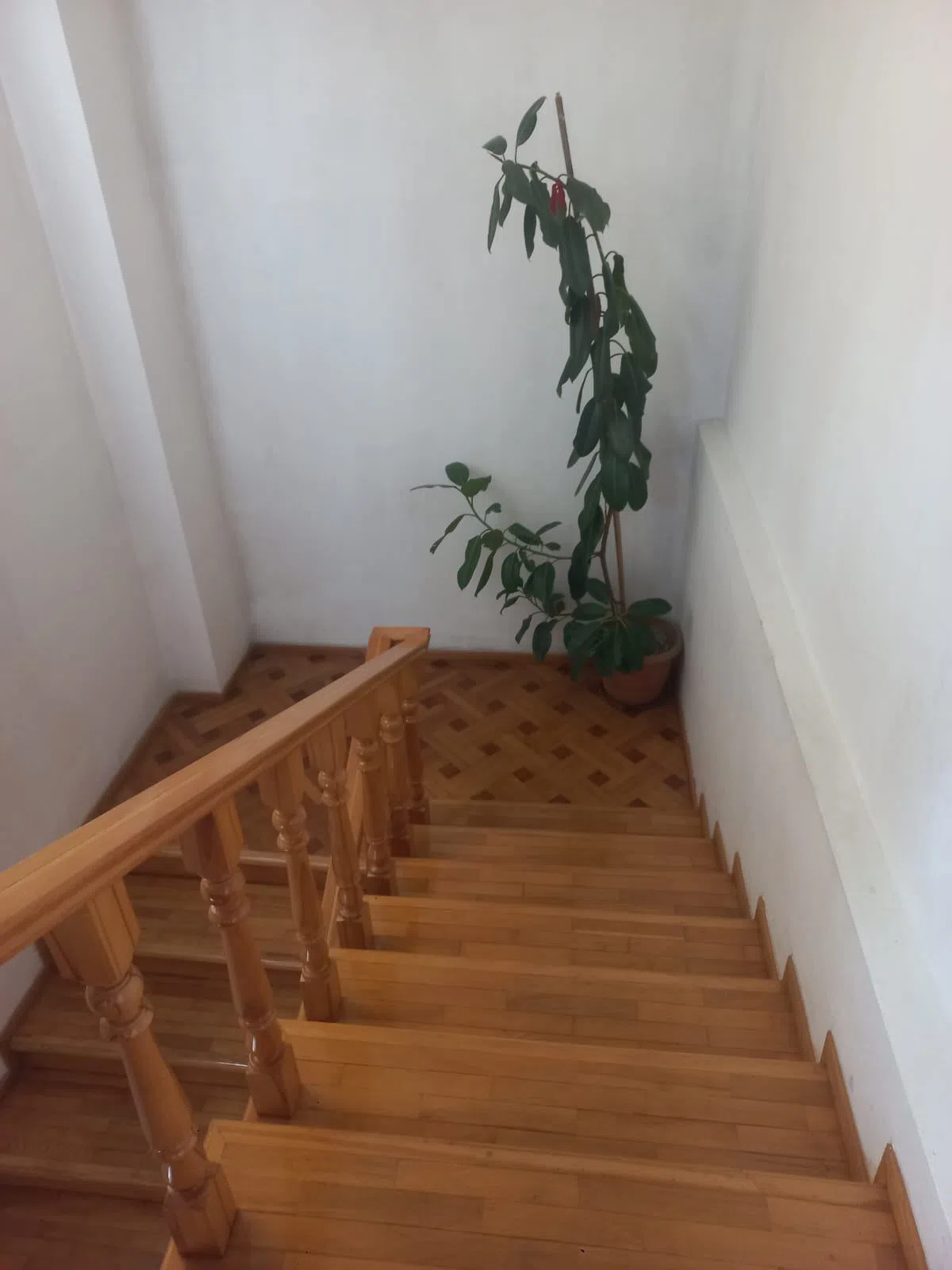4 otaqlı mənzil 140 m² satılır