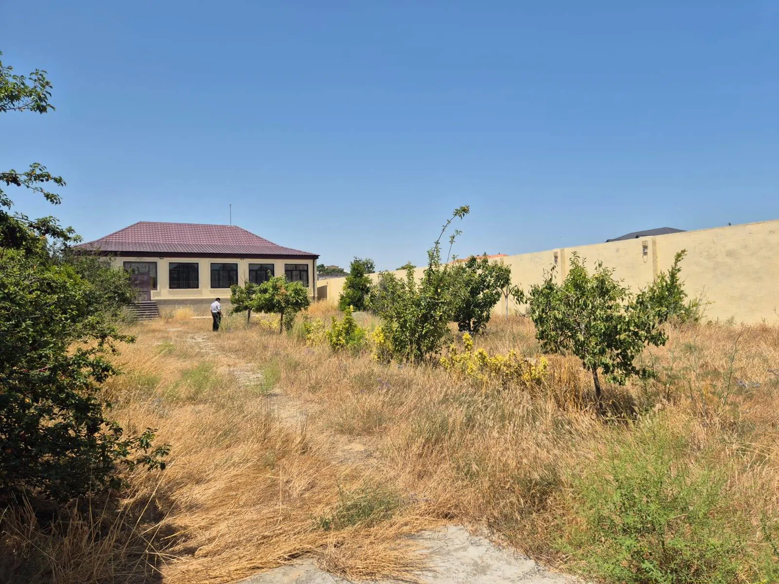 12 sot torpaq sahəsi satılır — şəkil 5