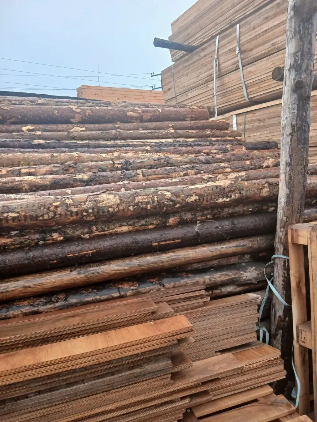 Şam ağacından yumru dirəklər və taxta materialları