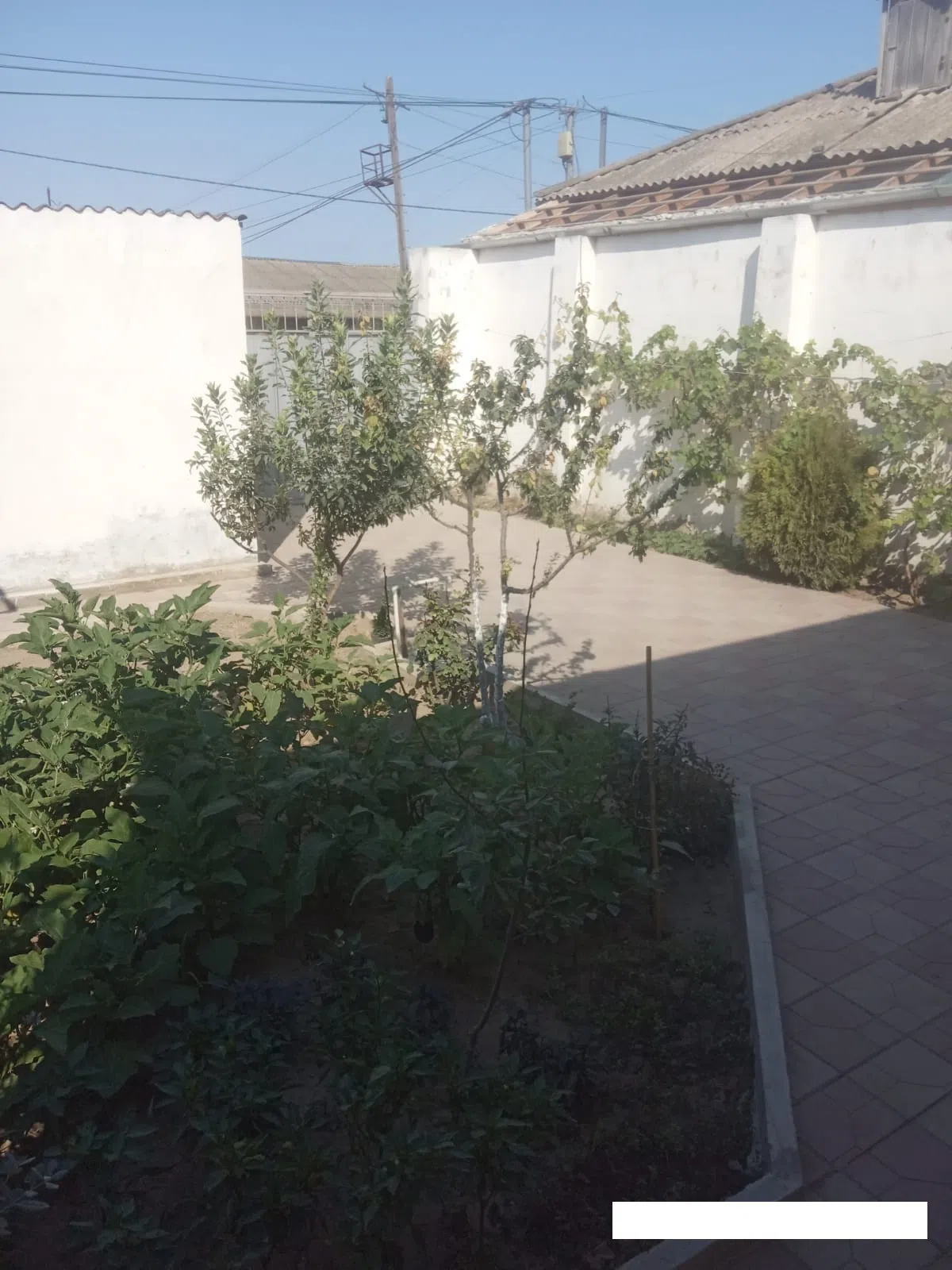 3 otaqlı həyət evi 100 m² - 2.3 sot torpaq sahəsində satılır