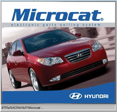 "Microcat Hyundai" software - Tenderyard