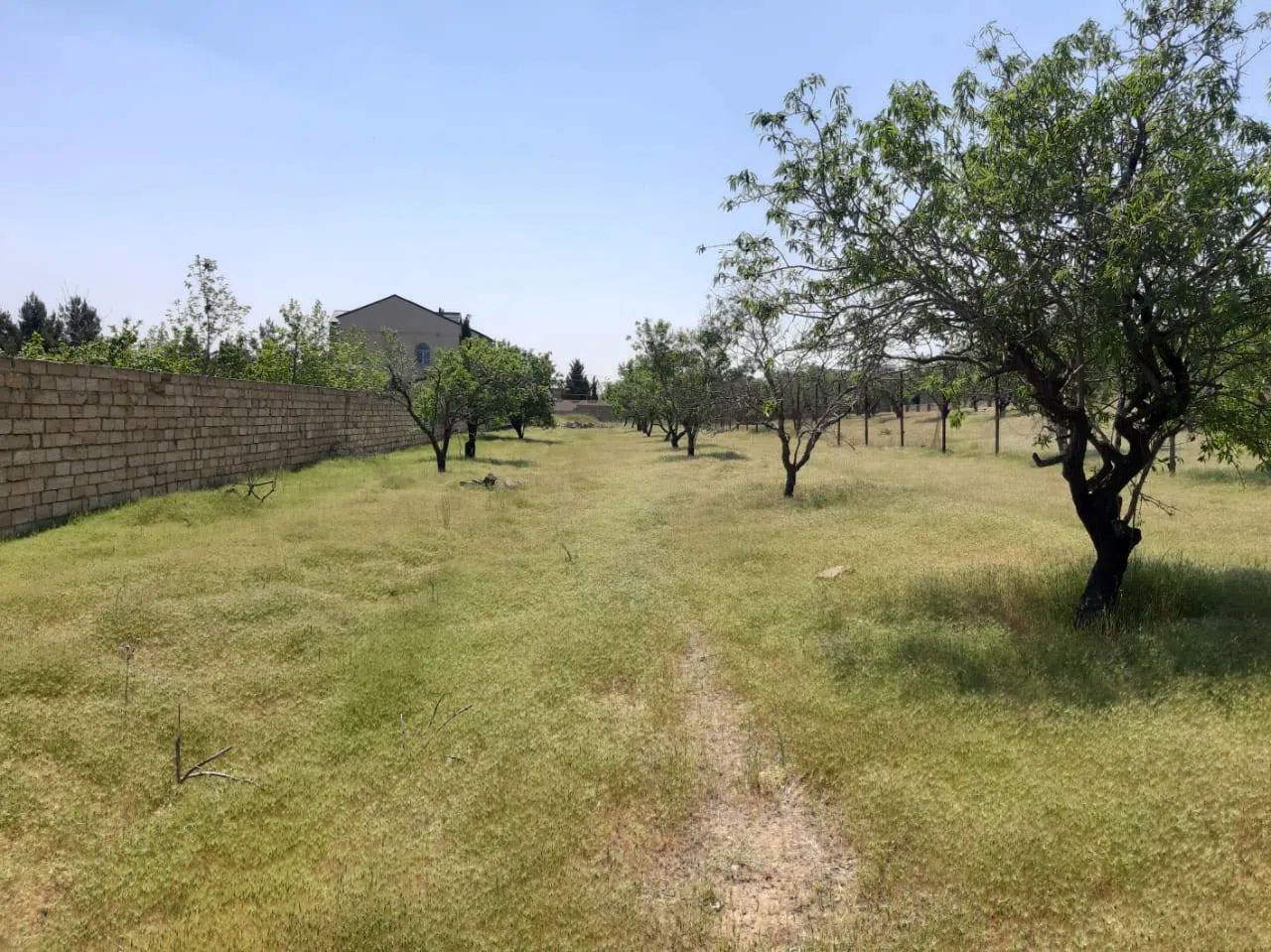 16 sot torpaq sahəsi satılır — şəkil 5