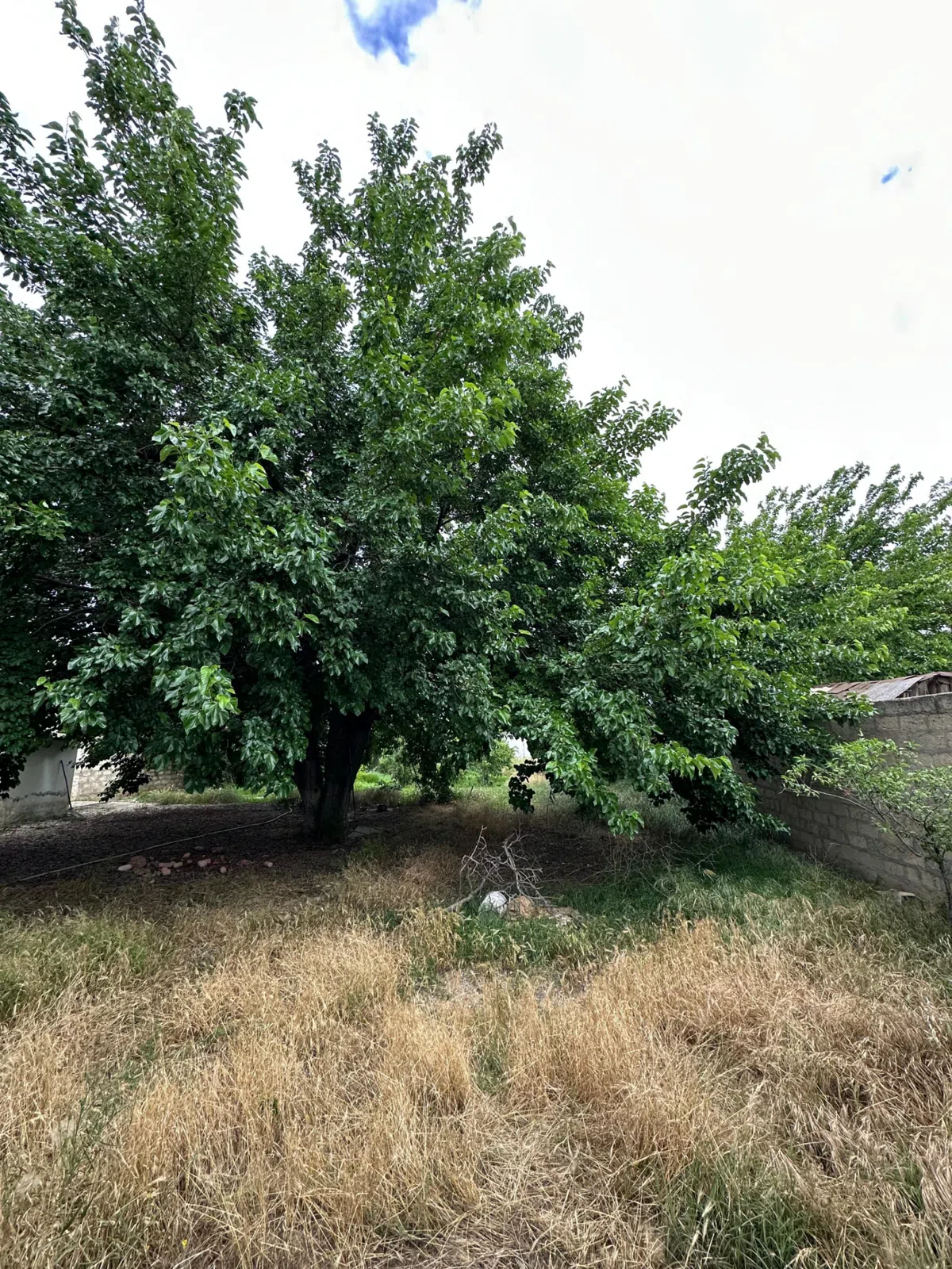 16 sot torpaq sahəsi satılır — şəkil 4