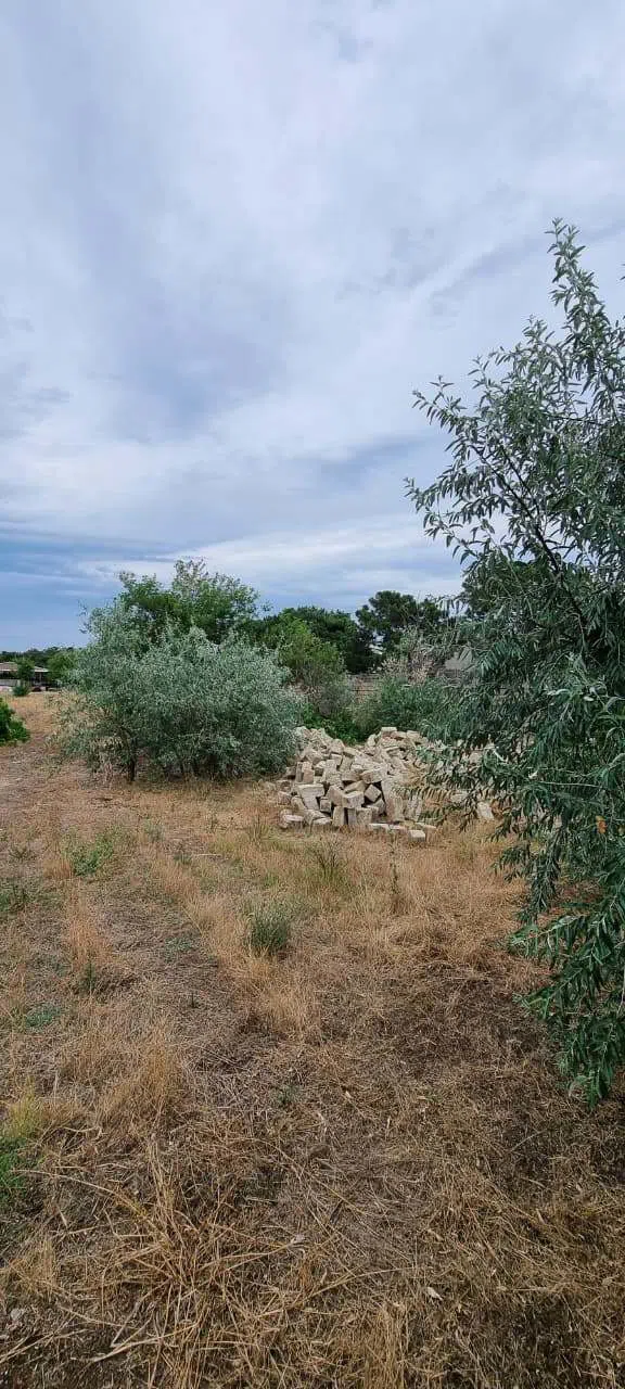 24 sot torpaq sahəsi satılır — şəkil 1