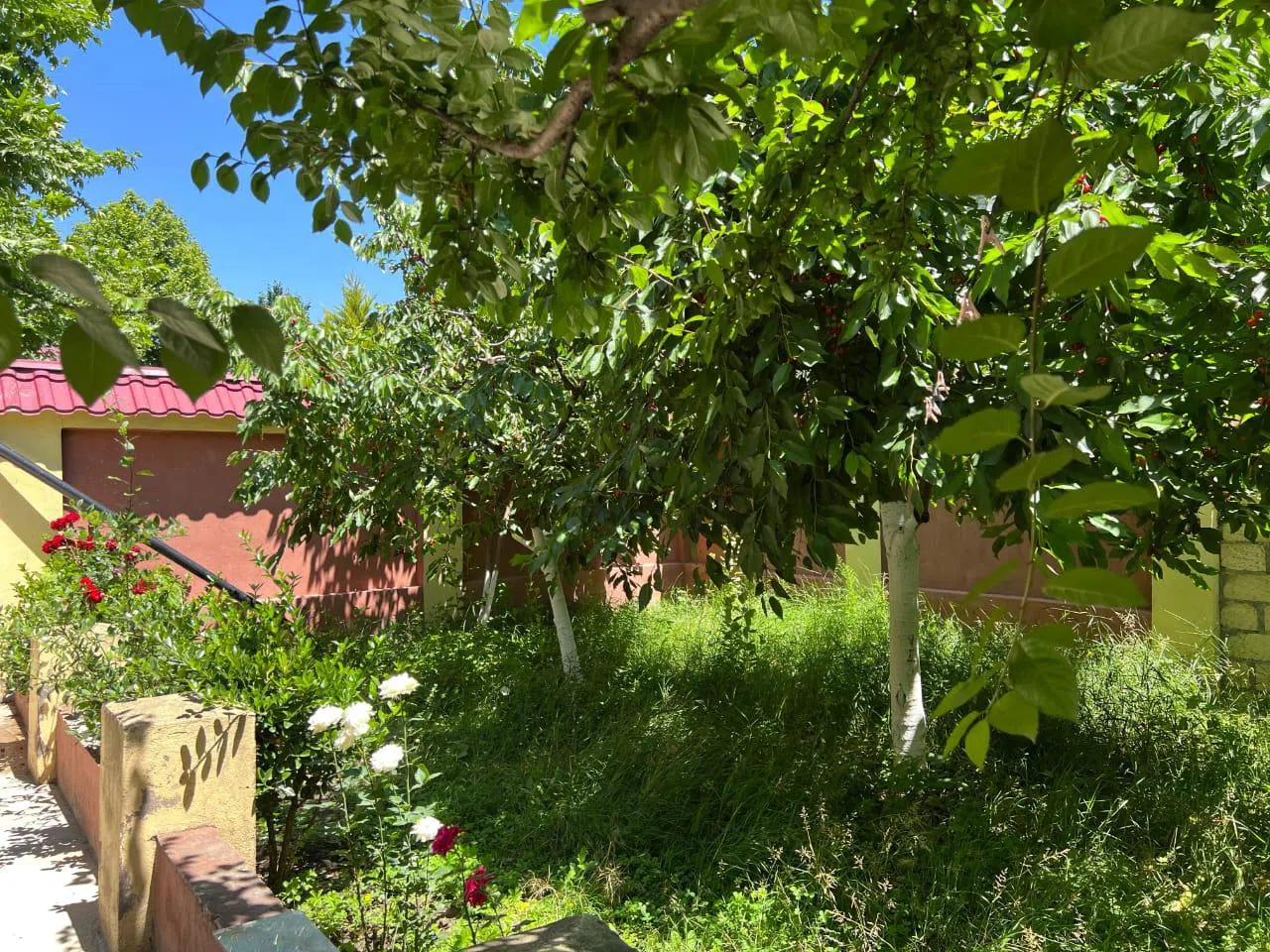 3 otaqlı bağ evi 70 m² günlük kirayə verilir — şəkil 8