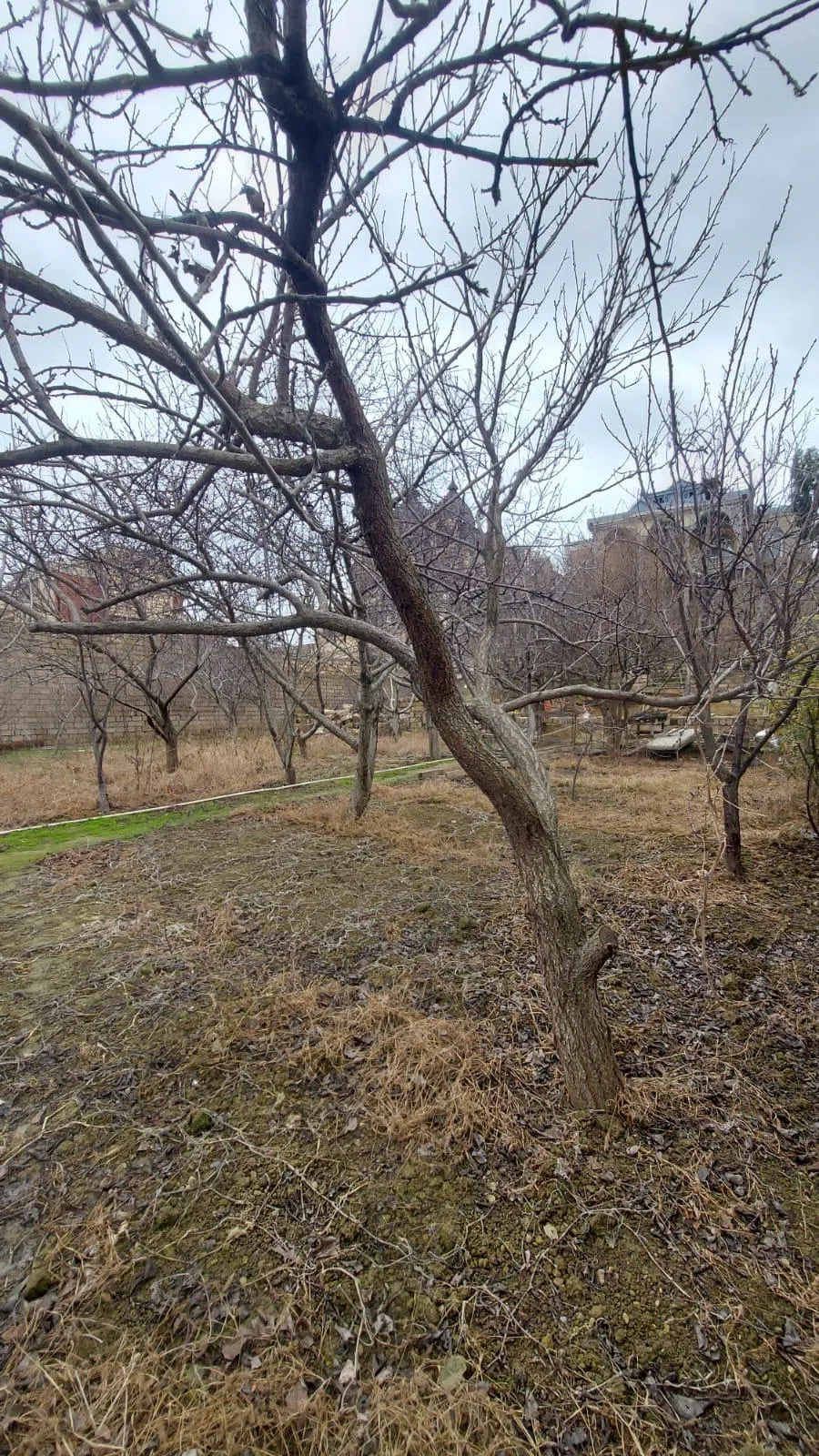 6 otaqlı villa 450 m² - 16 sot torpaq sahəsində satılır — şəkil 6