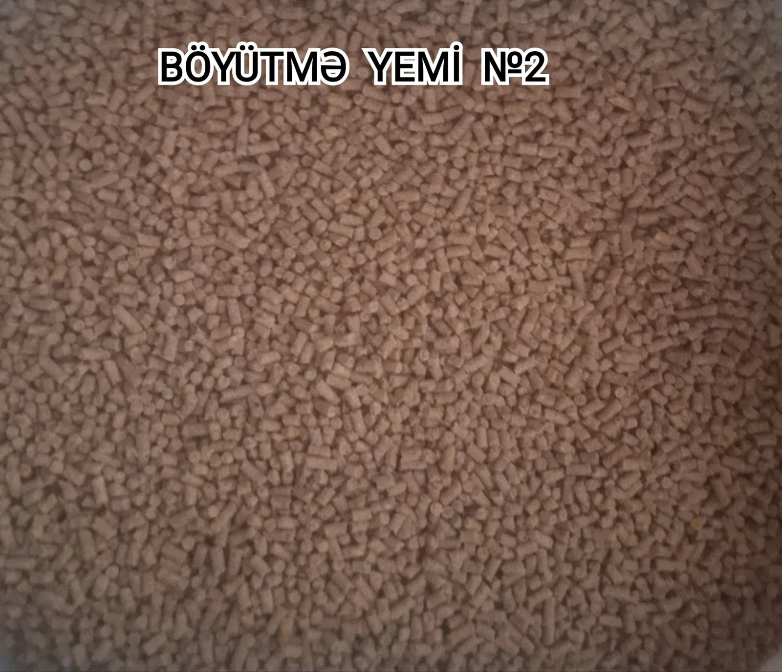 Kənd təsərrüfatı heyvanları üçün proteinli yemlər — şəkil 12