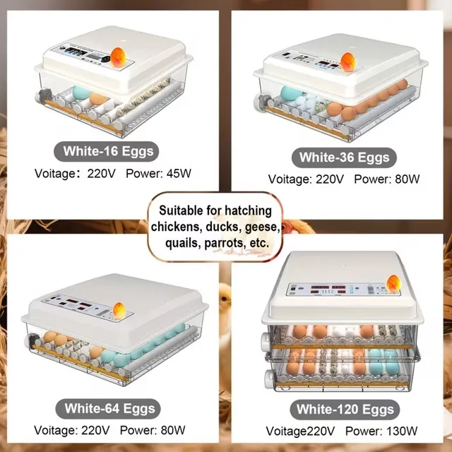 64 yumurtalıq avtomatik inkubator — şəkil 4
