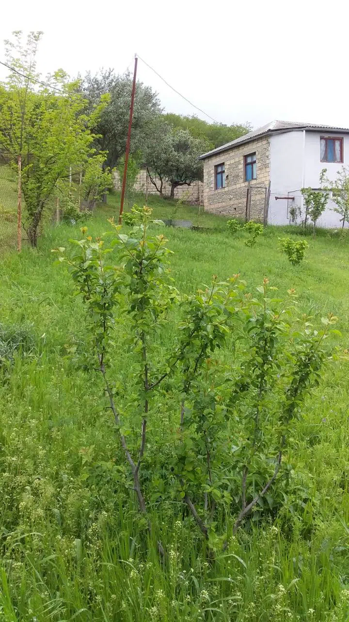 4 otaqlı həyət evi 65 m² - satılır — şəkil 5
