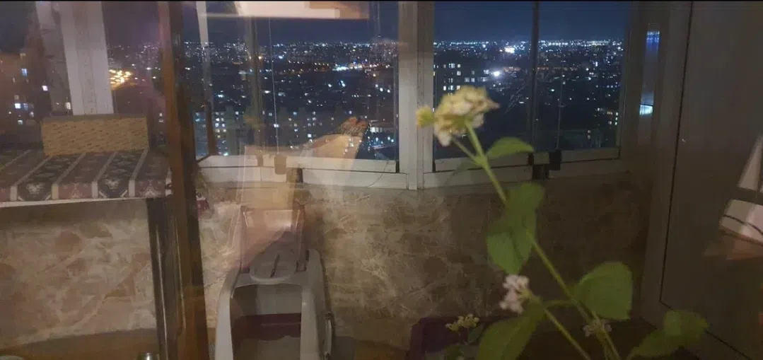 3 otaqlı mənzil 19 m² satılır — şəkil 6