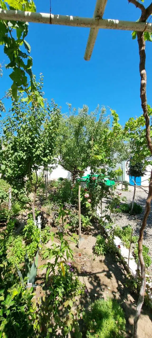 7 otaqlı həyət evi 200 m² satılır — şəkil 7