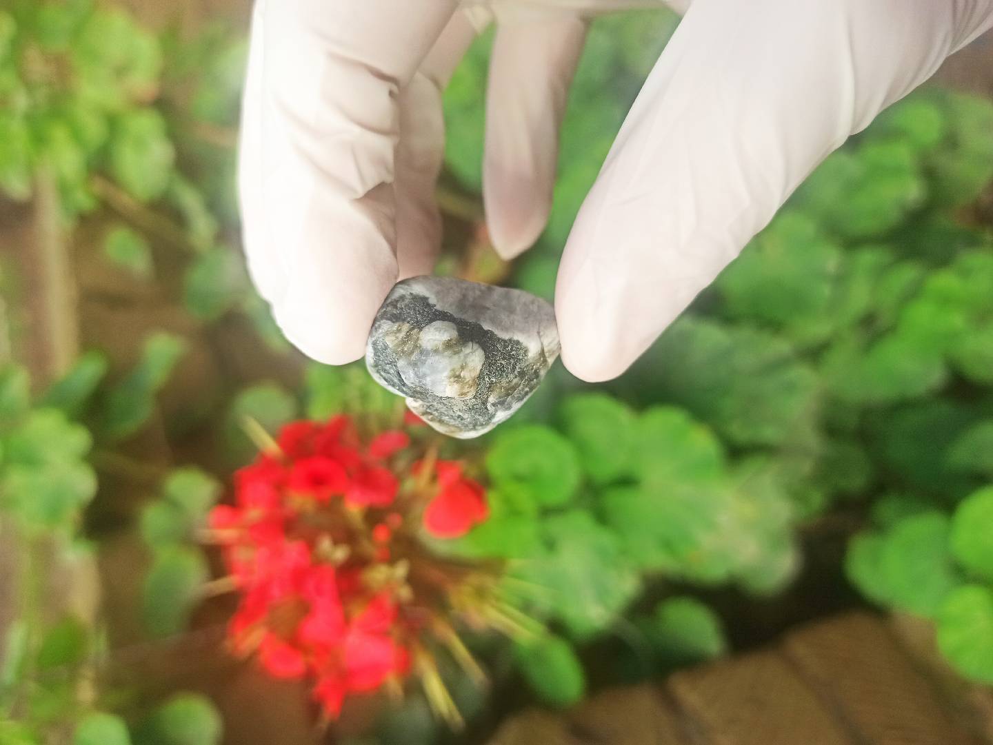 Təbii Mineral Daşların Satışı — şəkil 5