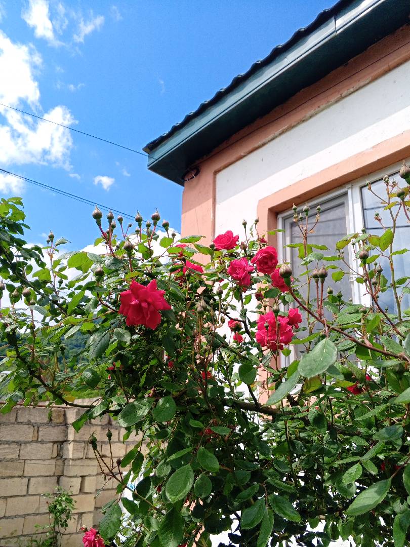 2 otaqlı həyət evi 10 m² - günlük kirayə verilir — şəkil 9