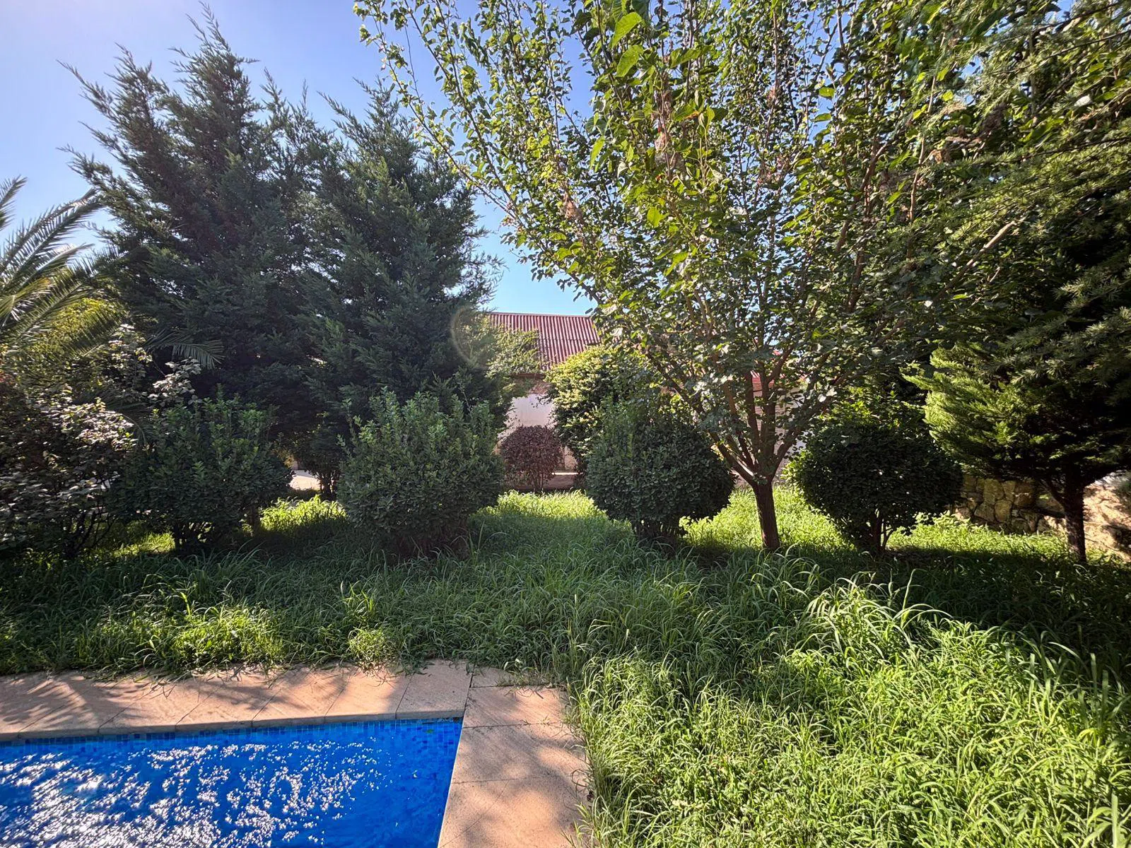 5 otaqlı bağ evi 250 m² 8 sot torpaq sahəsində satılır — şəkil 13