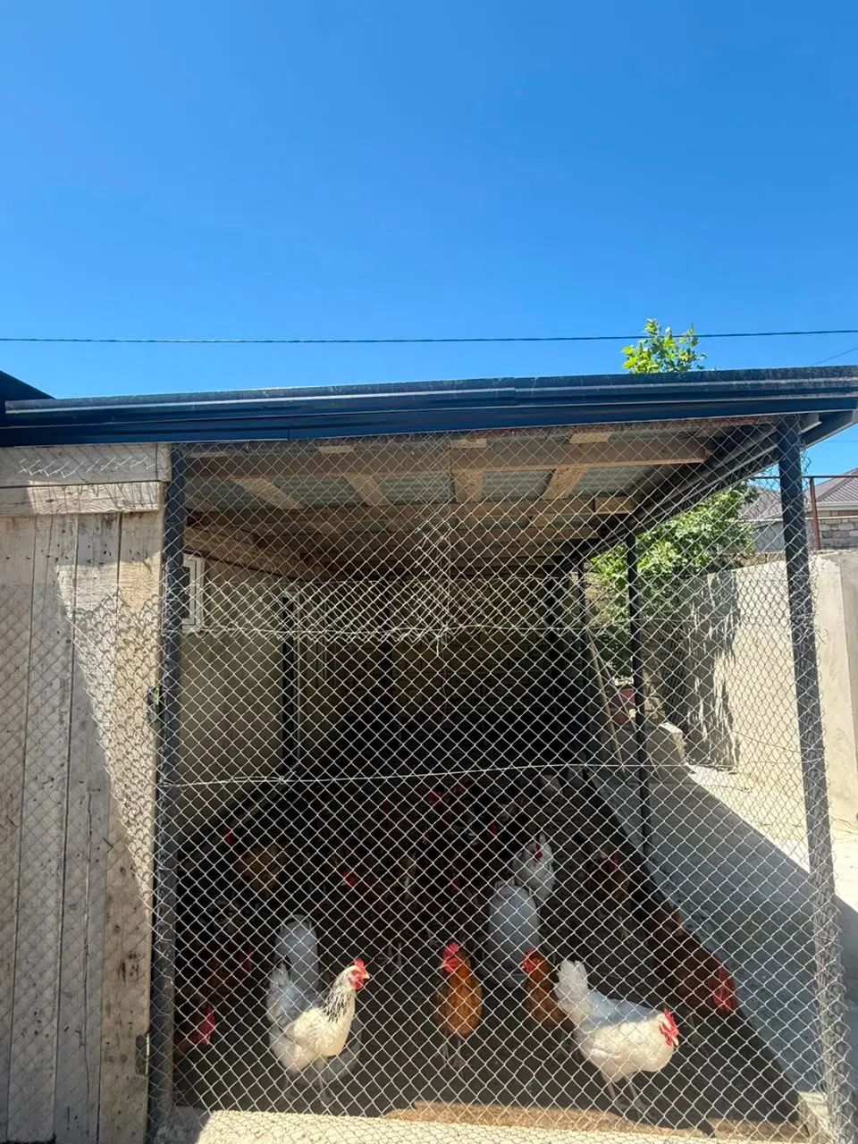 4 otaqlı bağ evi 256 m² 14 sot torpaq sahəsində satılır — şəkil 11