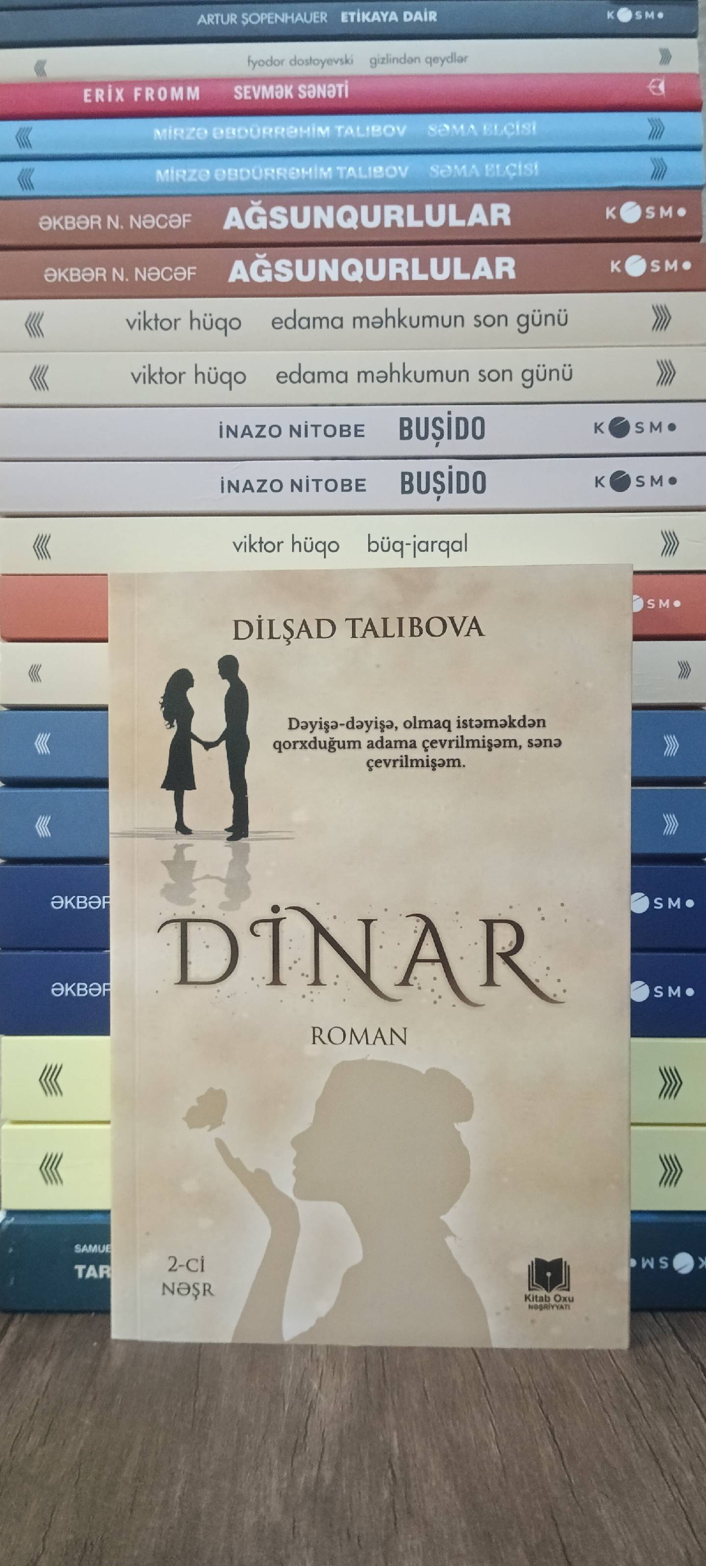 Dilshad Talibova: "Dinar" - Tenderyard