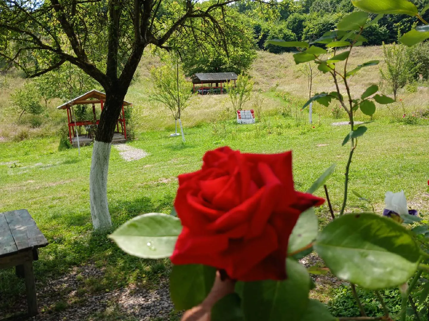 1.85 sot torpaq sahəsi satılır — şəkil 12