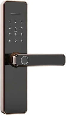 QL-S811 Smart Lock — şəkil 2