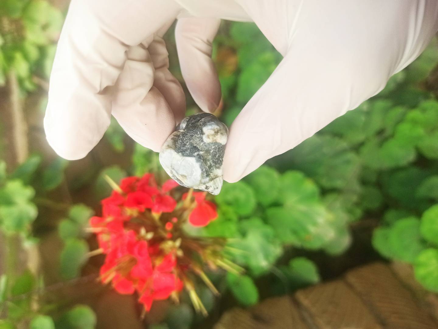 Təbii Mineral Daşların Satışı — şəkil 11