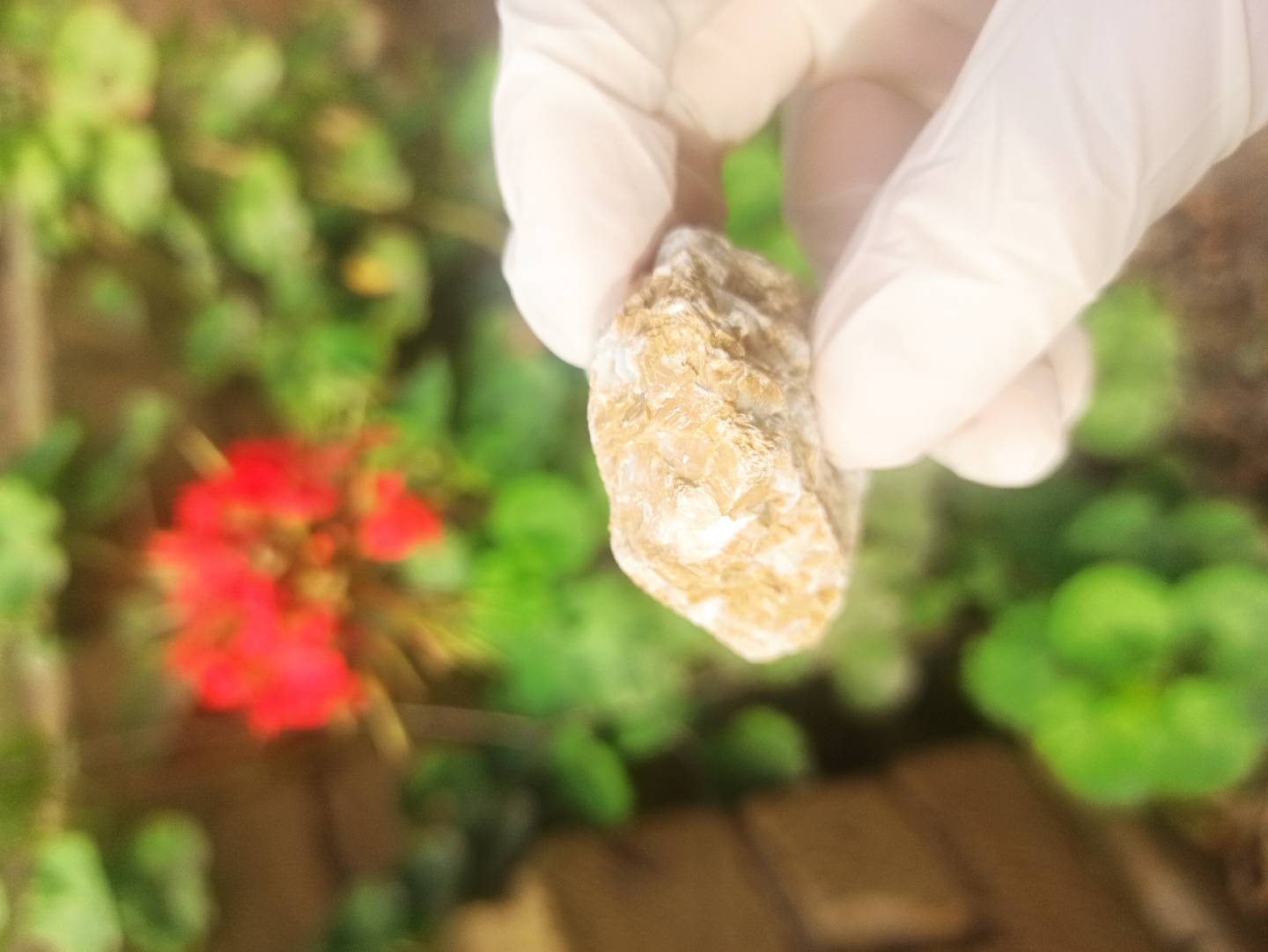 Təbii Mineral daşların Satışı 💎 — şəkil 6