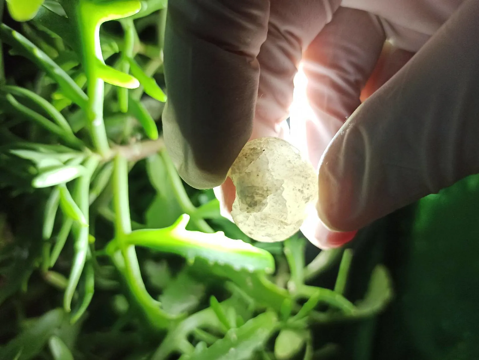 Mineral daşların Satışı 💎