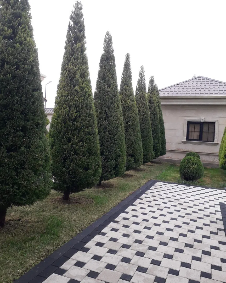 — şəkil 4