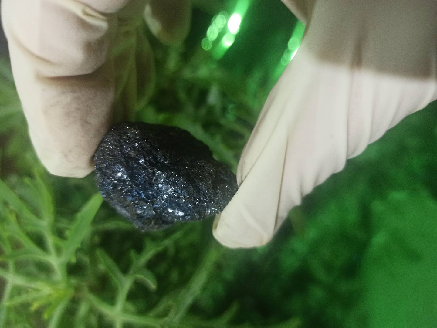 Bornite - Magnetite Təbii Daş 💎😍