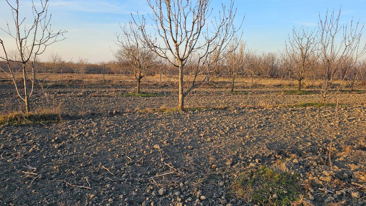 24 sot torpaq sahəsi satılır — şəkil 2