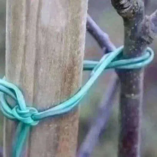 Yaşıl aqro kembrik ipi — şəkil 5