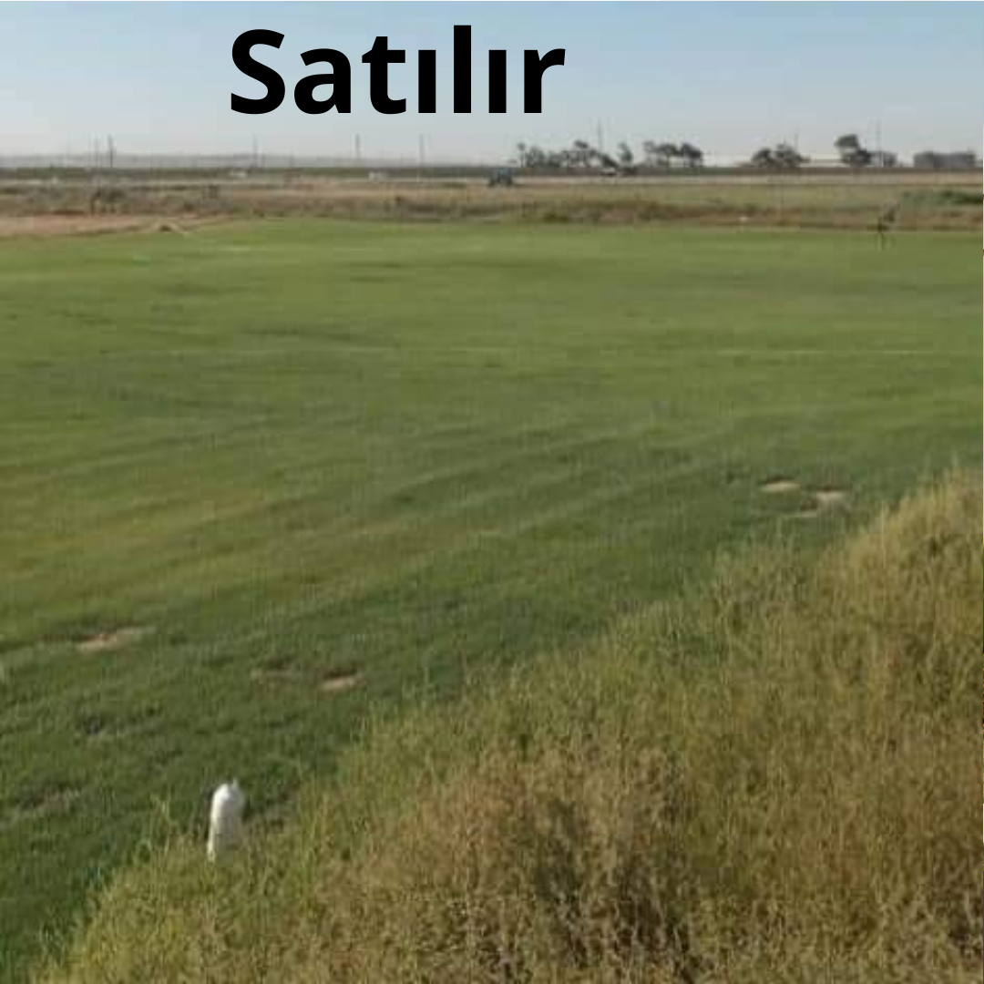 Əla fürsət, alan uduzmaz.