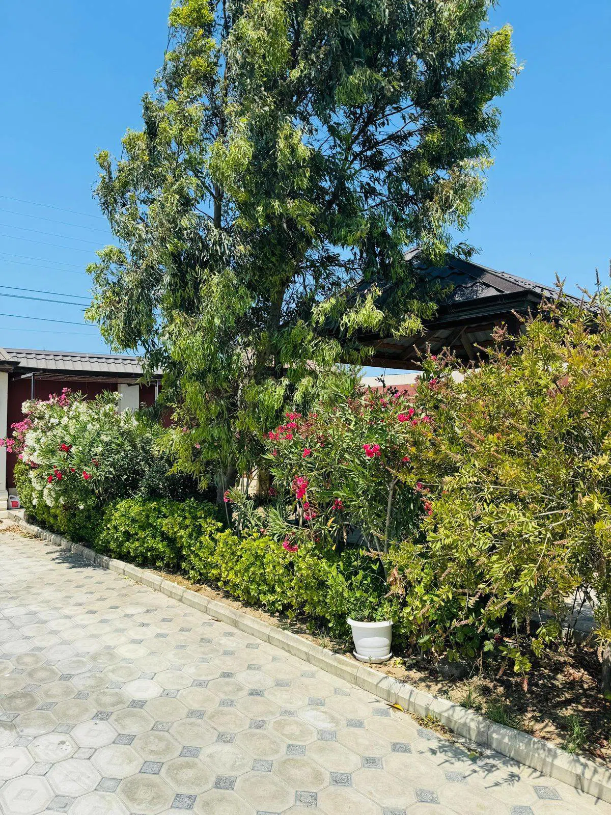 3 otaqlı həyət evi 160 m² - 10 sot torpaq sahəsində satılır