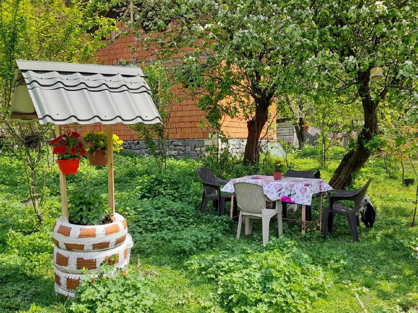 2 otaqlı bağ evi 70 m² kirayə verilir — şəkil 3