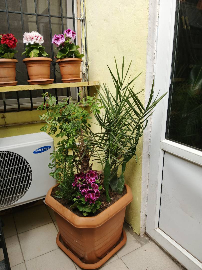 4 otaqlı həyət evi 115 m² - 1.58 sot torpaq sahəsində satılır — şəkil 22