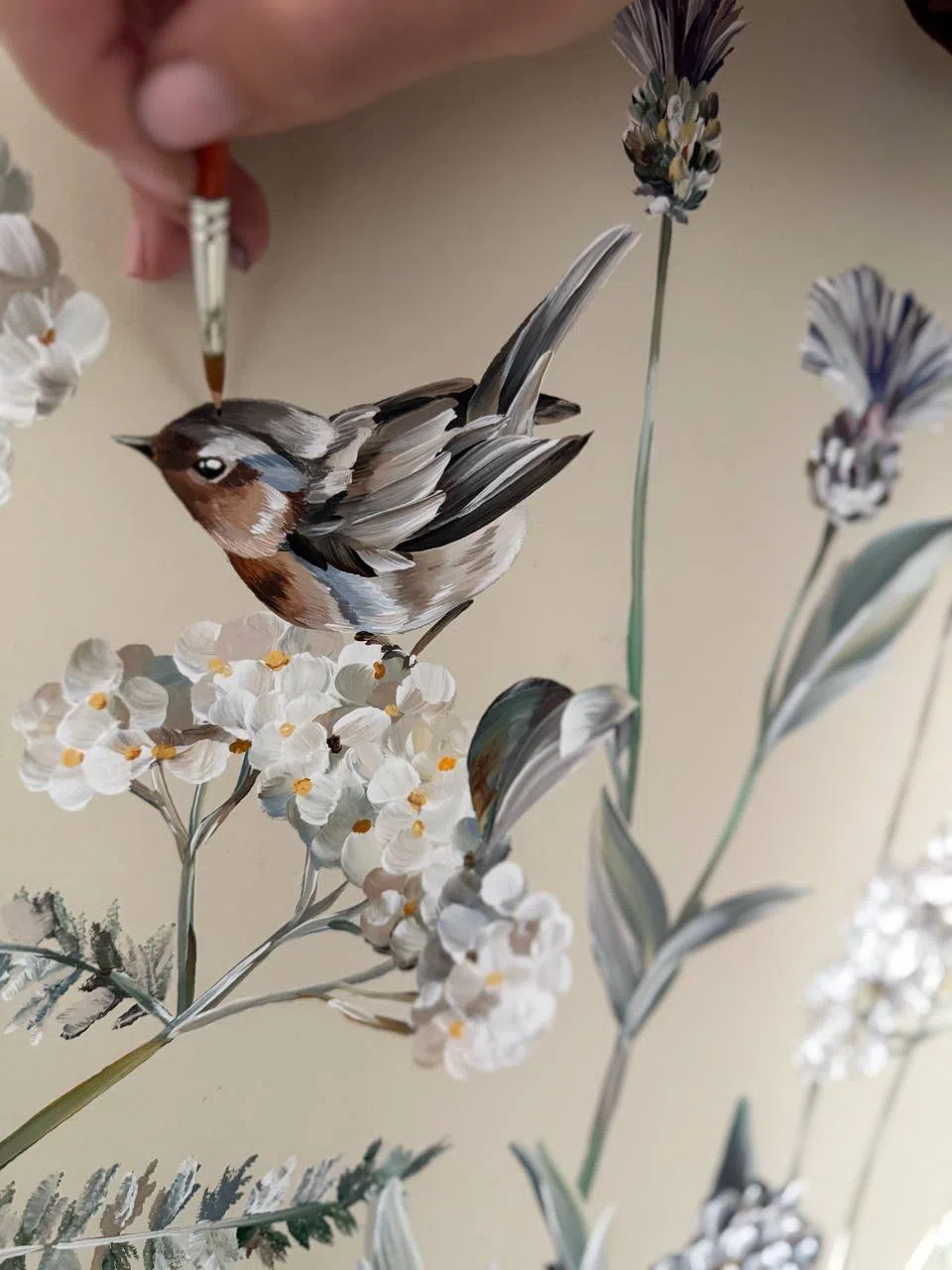 Divar rəsimlərinin çəkilməsi🎨