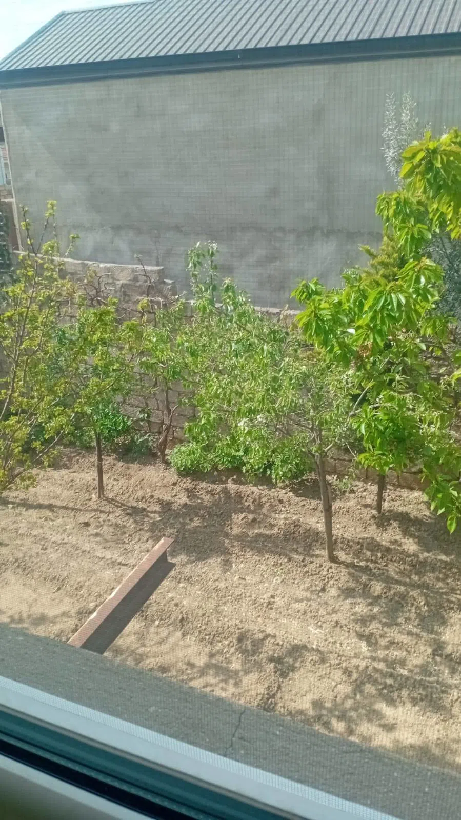 4 otaqlı həyət evi 146 m² satılır — şəkil 12