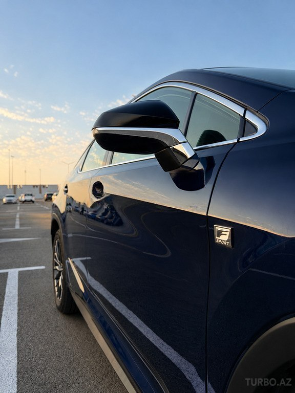 Lexus RX 300, 2019 il, 124000 km — şəkil 5
