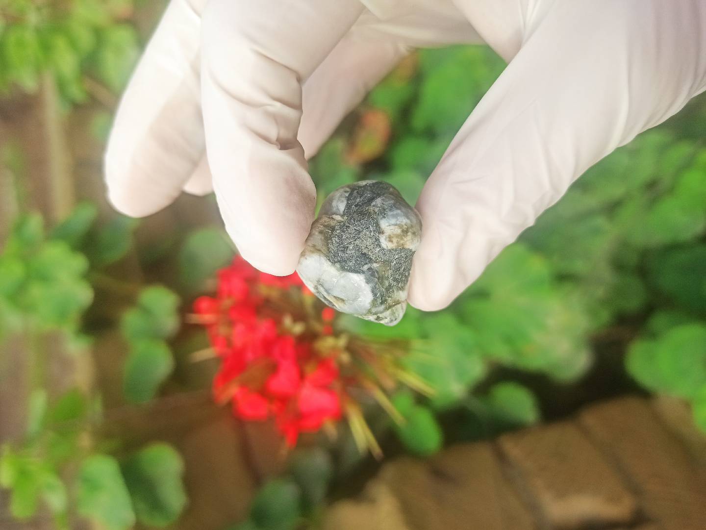 Təbii Mineral Daşların Satışı — şəkil 14