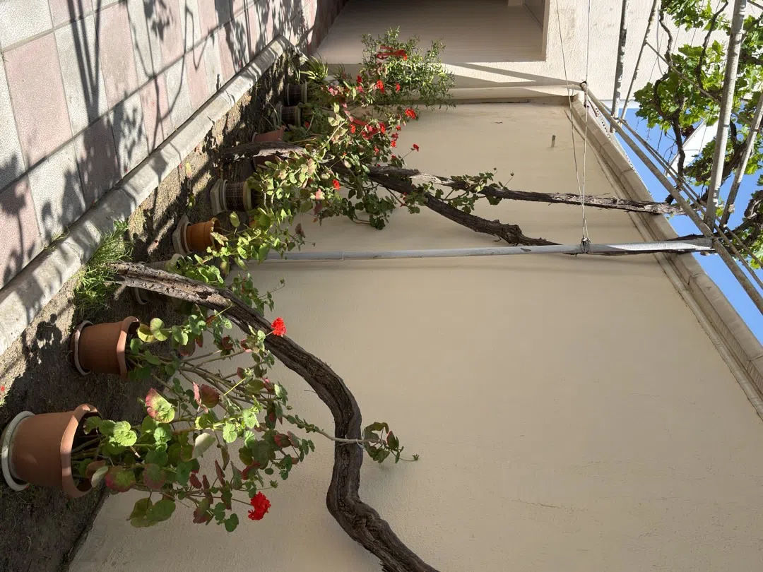 5 otaqlı həyət evi 150 m² satılır — şəkil 4