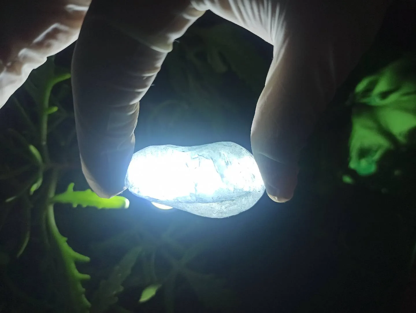 Nadir Təbii Aquamarine daşı 💎 — şəkil 2