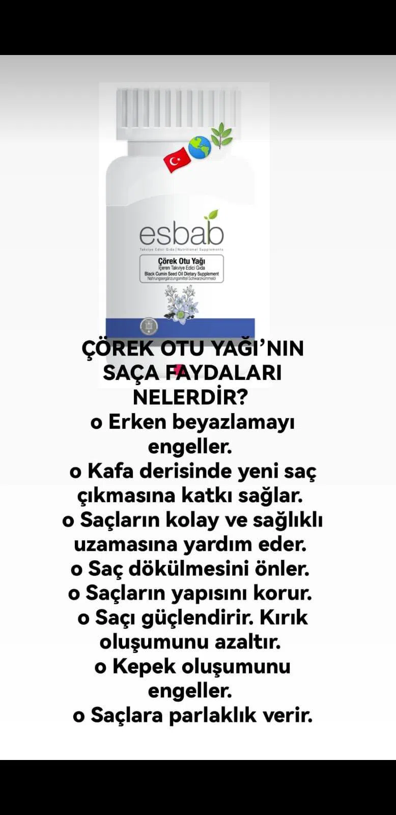 Cörək oty yagi