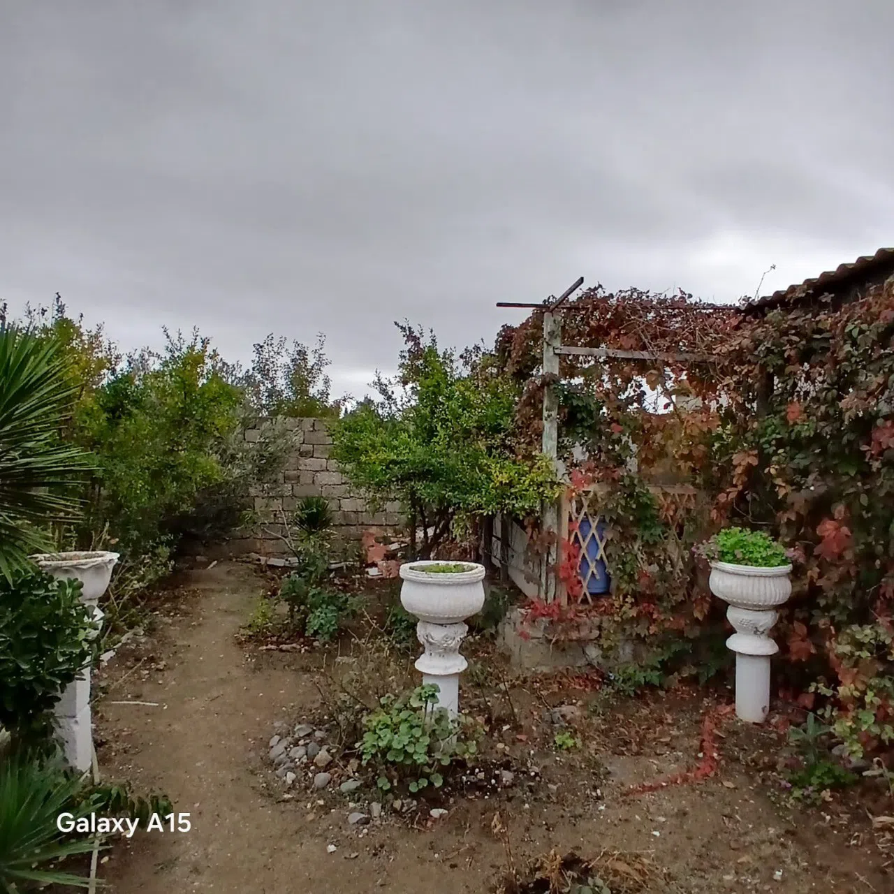 3 otaqlı həyət evi 150 m² - 6.5 sot torpaq sahəsində satılır