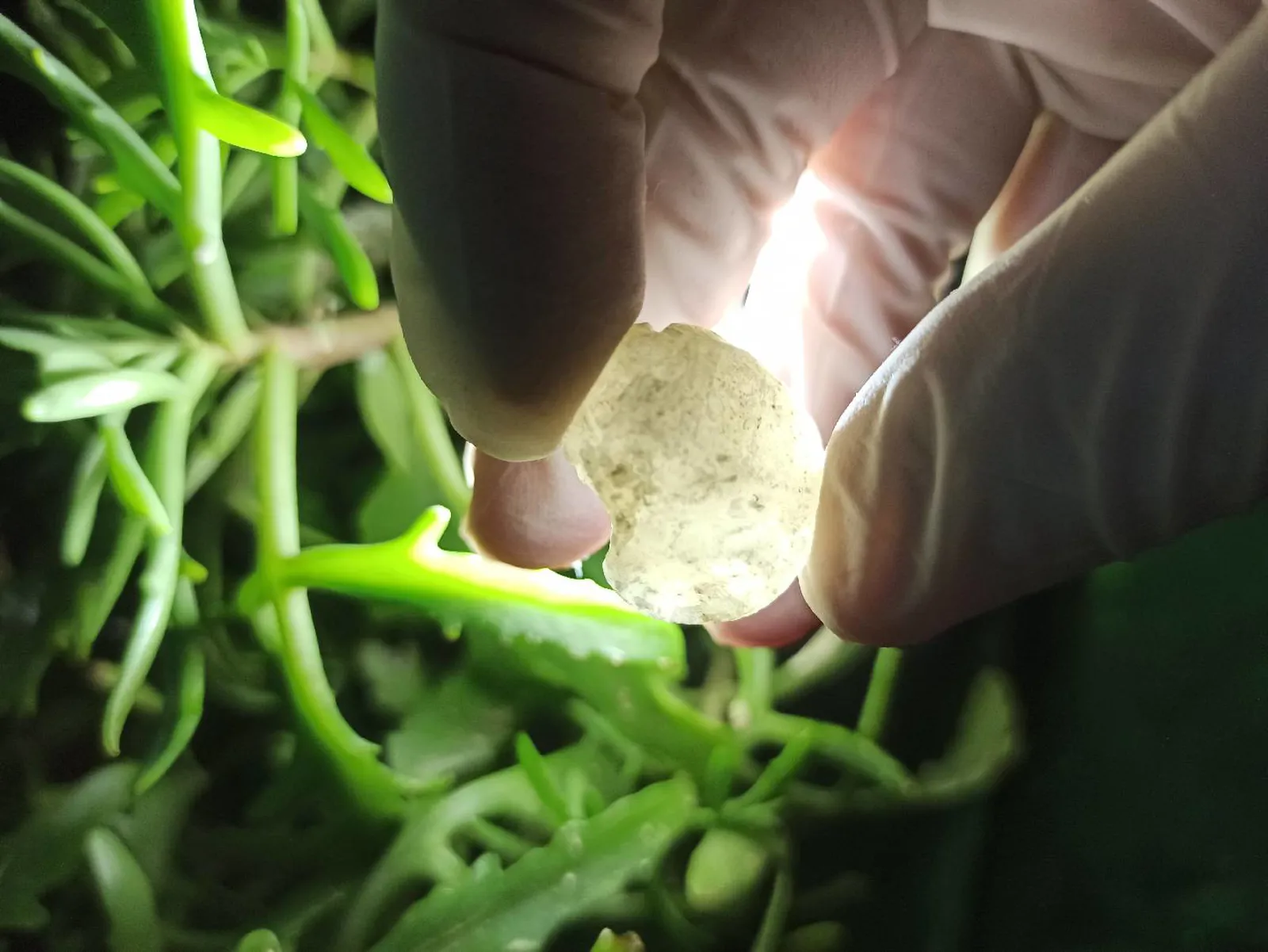 Mineral daşların Satışı 💎