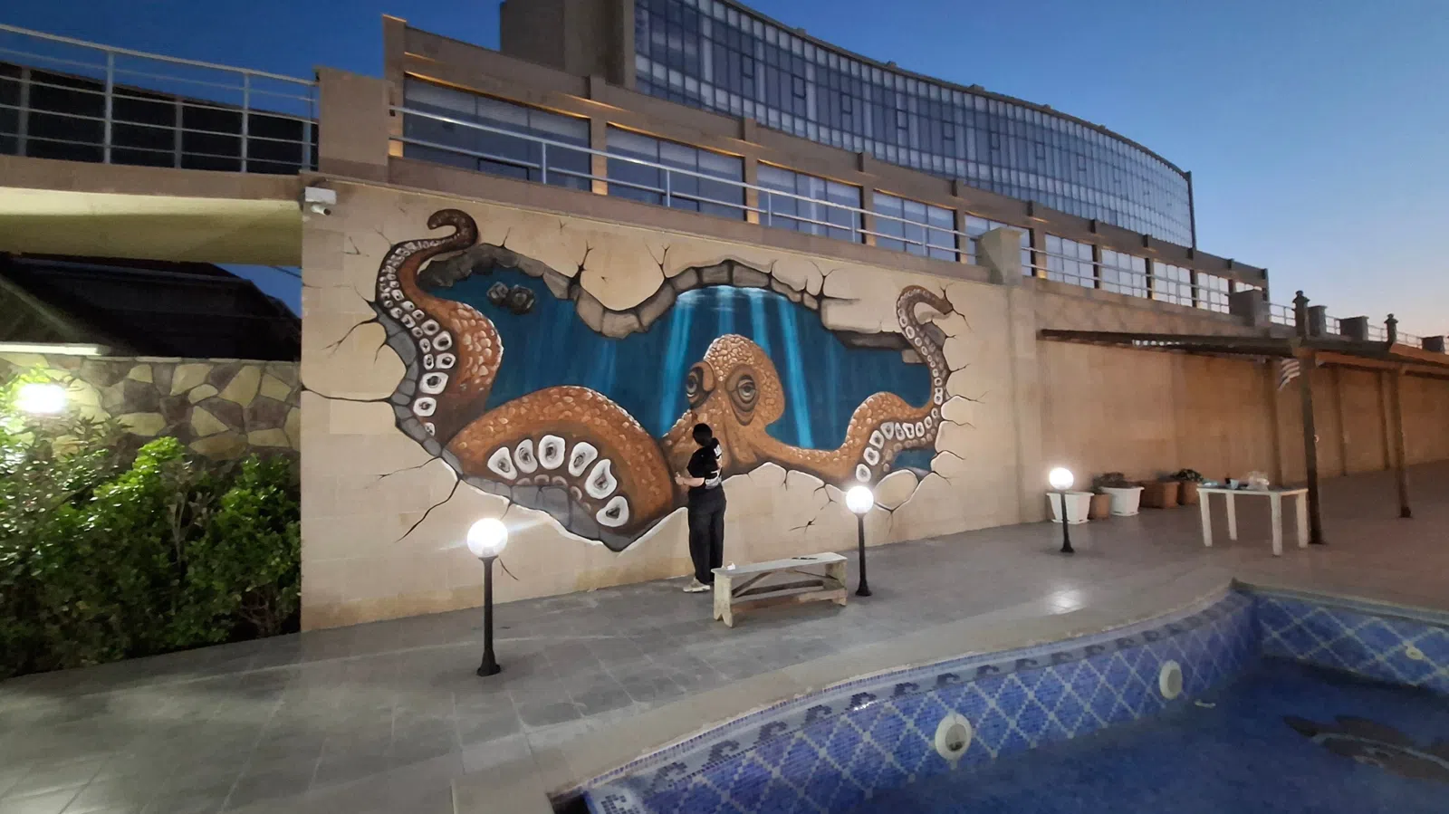 Professional Custom Wall Mural and Graffiti Art Services