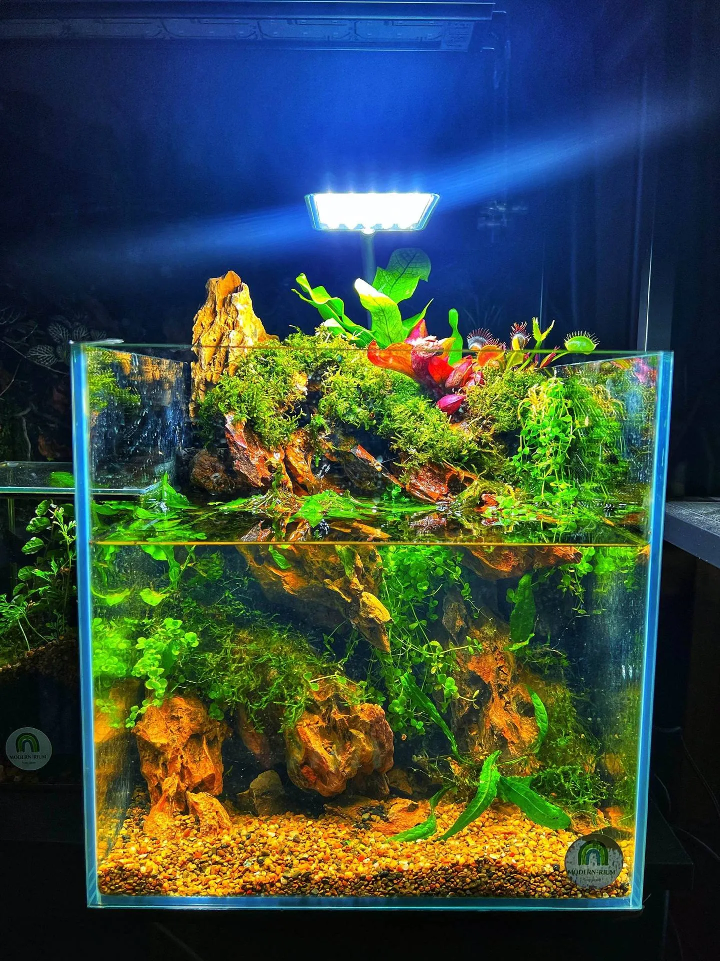 akvarium və balıqlar - Tenderyard