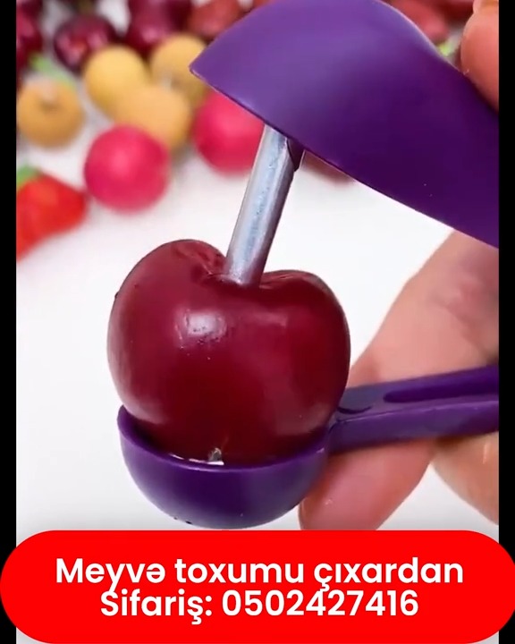 Fruit pitter tool - Tenderyard