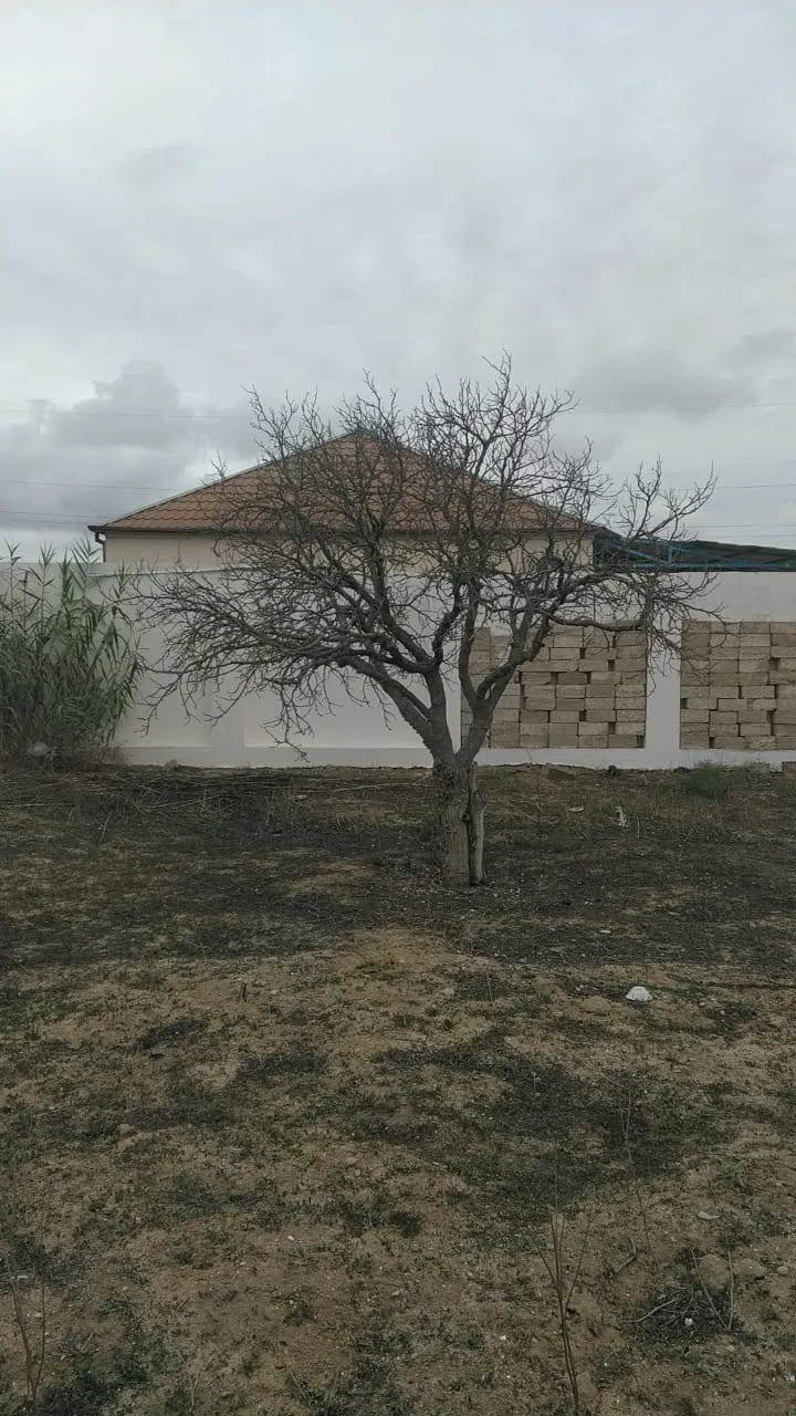 12 sot torpaq sahəsi satılır — şəkil 11